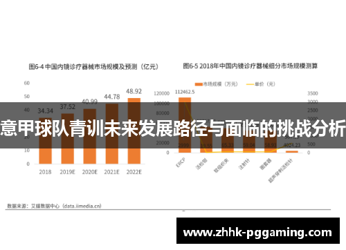 意甲球队青训未来发展路径与面临的挑战分析