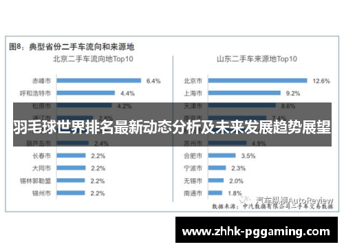 羽毛球世界排名最新动态分析及未来发展趋势展望